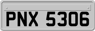 PNX5306