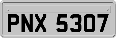 PNX5307
