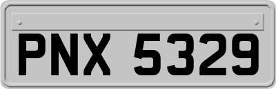 PNX5329