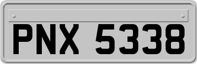 PNX5338