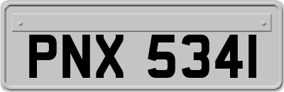 PNX5341