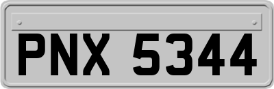 PNX5344