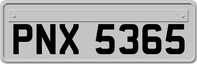 PNX5365