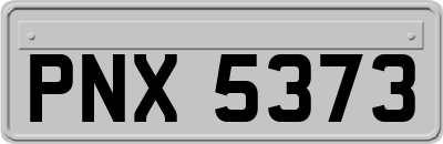PNX5373