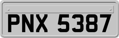 PNX5387