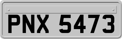 PNX5473