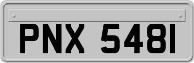 PNX5481