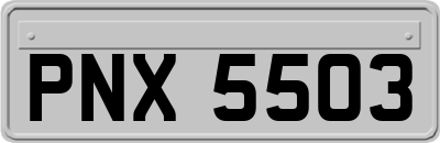 PNX5503