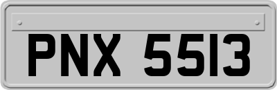 PNX5513