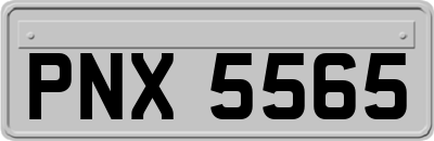 PNX5565