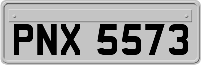 PNX5573