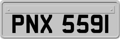 PNX5591