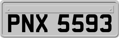 PNX5593