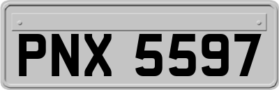 PNX5597