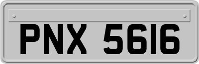 PNX5616