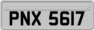 PNX5617