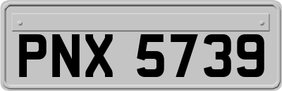 PNX5739
