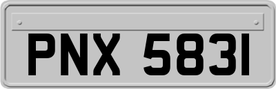 PNX5831