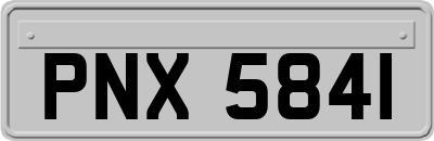 PNX5841