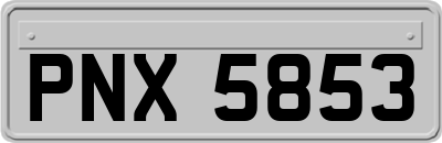 PNX5853