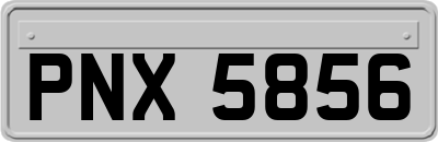 PNX5856
