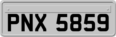 PNX5859