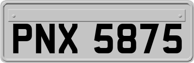 PNX5875