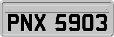 PNX5903