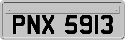 PNX5913