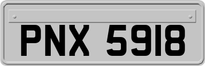 PNX5918