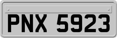 PNX5923