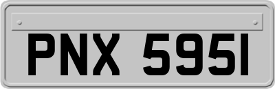 PNX5951