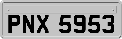 PNX5953