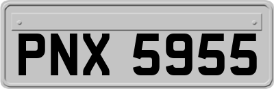 PNX5955