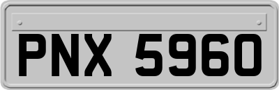 PNX5960