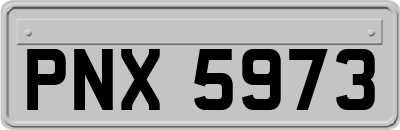 PNX5973