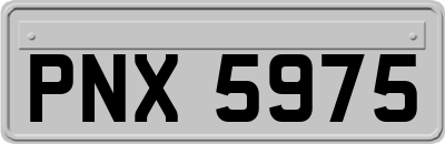 PNX5975