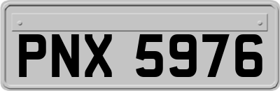 PNX5976