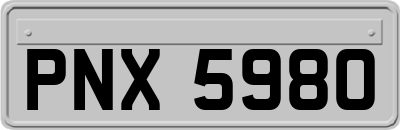 PNX5980