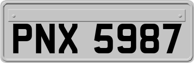 PNX5987