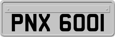 PNX6001