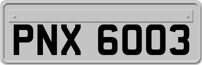 PNX6003