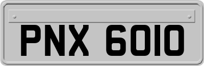 PNX6010