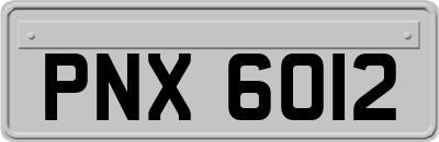 PNX6012