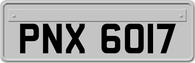 PNX6017
