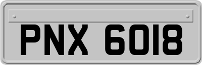 PNX6018