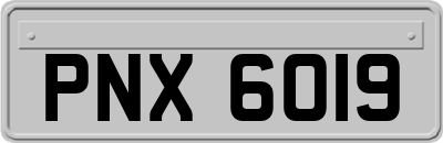 PNX6019