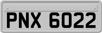 PNX6022