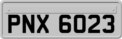 PNX6023