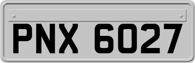 PNX6027